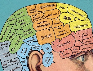 O tym, jak mózg krojąc słowa, przyswaja nowy język [LangUsta cz. I]