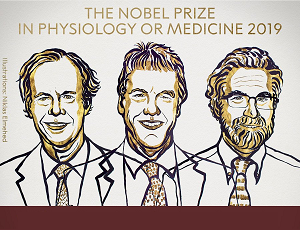 Nobel 2019 z medycyny/fizjologii - jak komórki wyczuwają tlen?