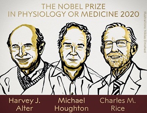 Nobel 2020 z medycyny za odkrycie WZW C