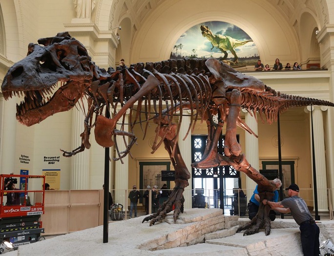 Wymieranie dinozaurów – nowe odkrycia naukowców
