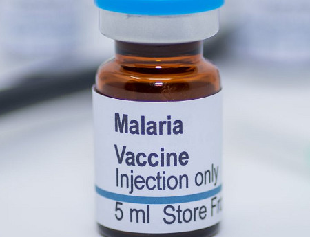 Szczepionka przeciwko malarii – przełom?
