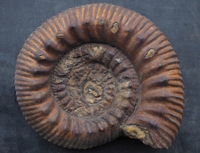Geologia okolic Krakowa