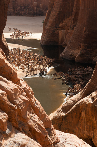 Ennedi - pozostała namiastka zielonej Sahary