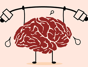 Ćwiczenie mózgu na siłowni, czyli jak aktywność fizyczna wpływa na neuroplastyczność