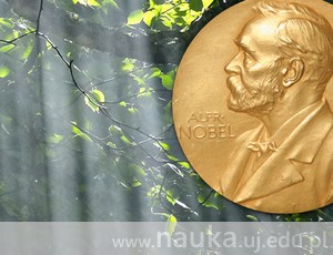Nobel 2017 z fizjologii i medycyny. Co wpływa na rytm dnia i nocy?